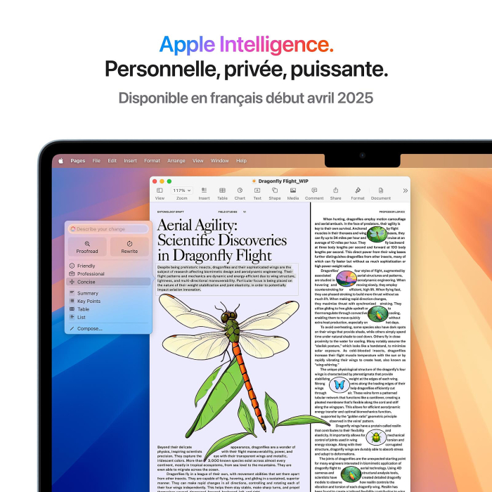 MacBook Air 13 pouces M4-16Go-256Go 