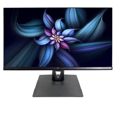 Écran Google P2718EC – 27" QHD | 60 Hz | 5 ms | LED (Remis à neuf)